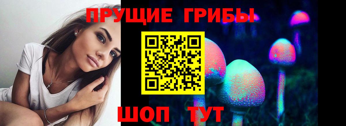 Псилоцибиновые грибы мицелий  Вход с VPN  Выборг 